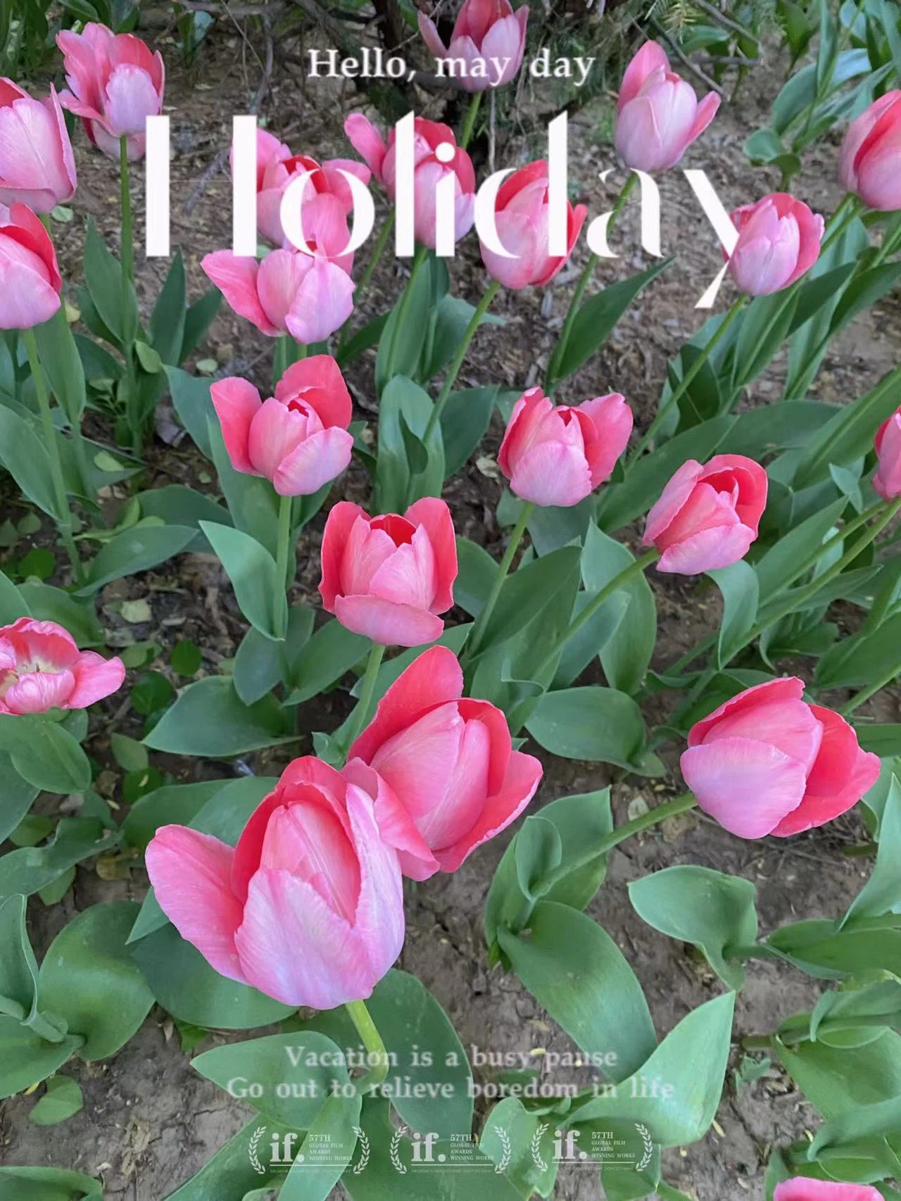 ae6964d8fd535d1810014043158404b