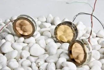 Large Diaphragm Dual Capsule for Condenser Microphone