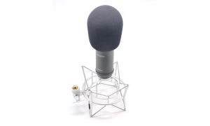 Vacuum Tube Unidirectional Pattern Condenser Microphone