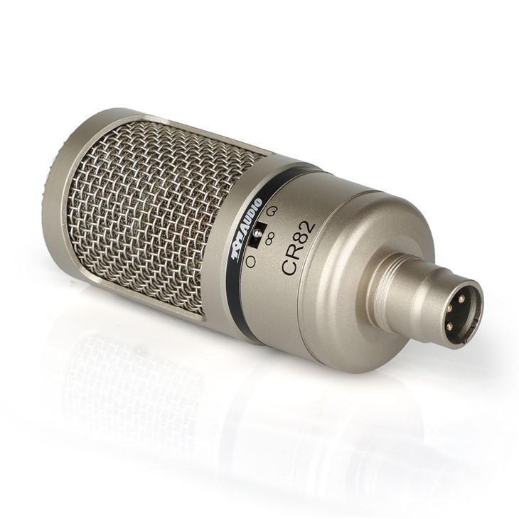 Large Diaphragm Studio Condenser Microphone