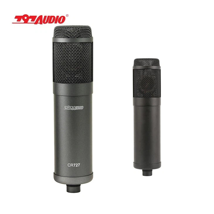 Professional Studio Live Performance Vocal Mic - Iconic. Clear. Legendary.